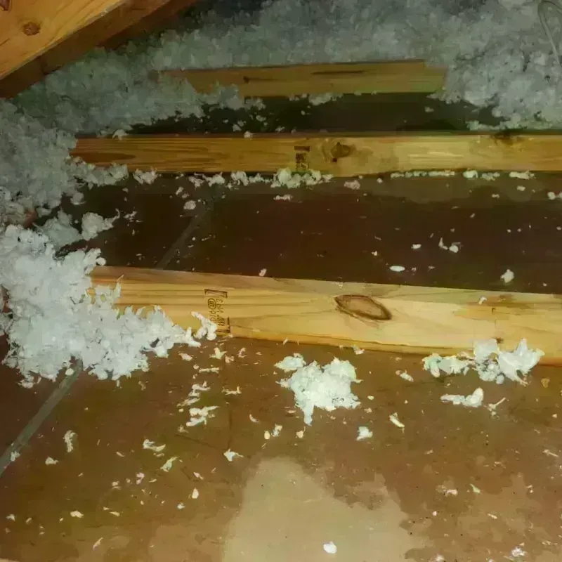 Attic Water Damage in Portland, ME